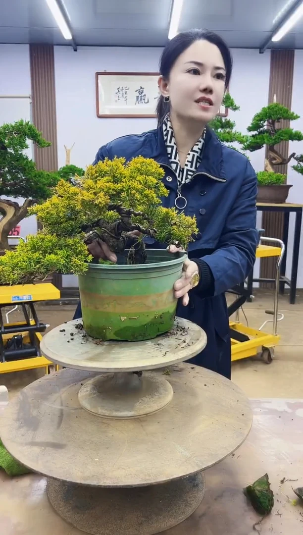 无花朵城*000000000000000000000000000000000000000