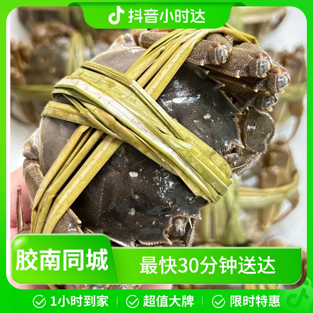 （活蟹）鲜活全母2.8-3.0两母蟹.10只-8只（精挑蟹）东营黄河口 盐碱地口感鲜甜