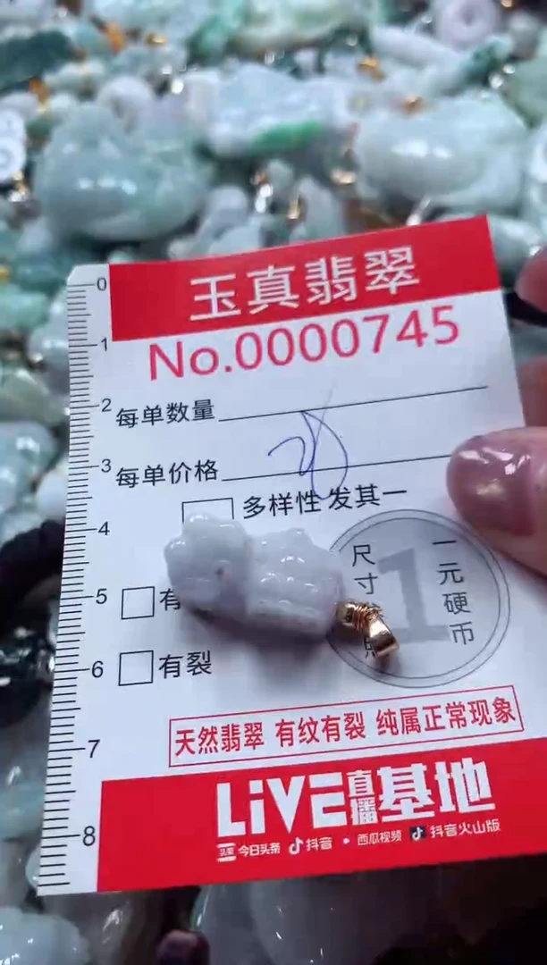 吊坠(不含链)未镶嵌翡翠0745