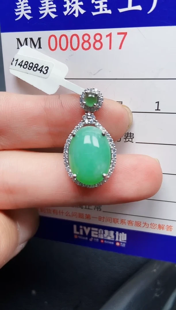 翡翠银S925镶嵌颈饰8817