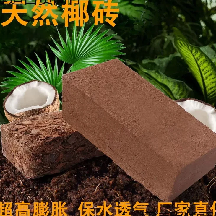 寄居蟹新手垫料垫材~椰砖干苔藓蜕皮保湿保暖椰土