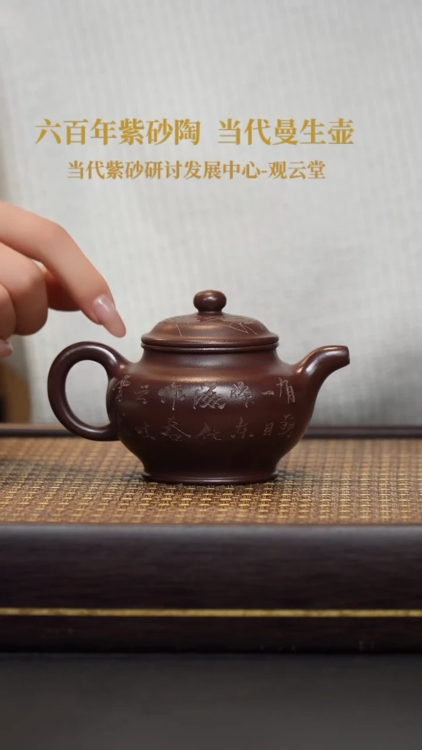 茶壶紫砂紫砂 掇只