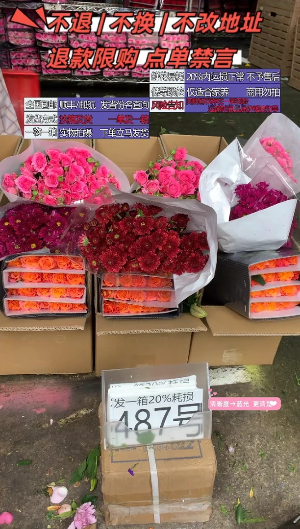 487号♥含20%耗损发一箱