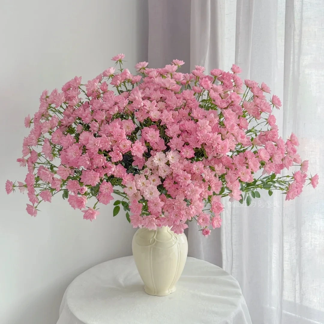 【花汀私享】天荷繁星-多头玫瑰（注意带包装醒花哦~）