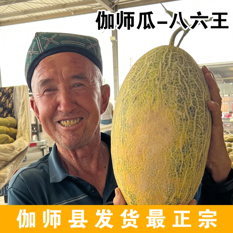 【x顺丰包邮】正宗新疆伽师瓜八六王非哈密瓜新鲜当季水果爆甜黄皮