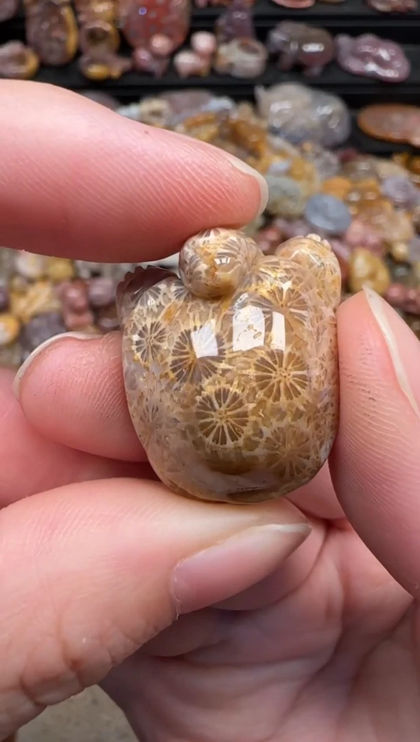 颈饰未镶嵌硅化珊瑚（珊瑚玉）533