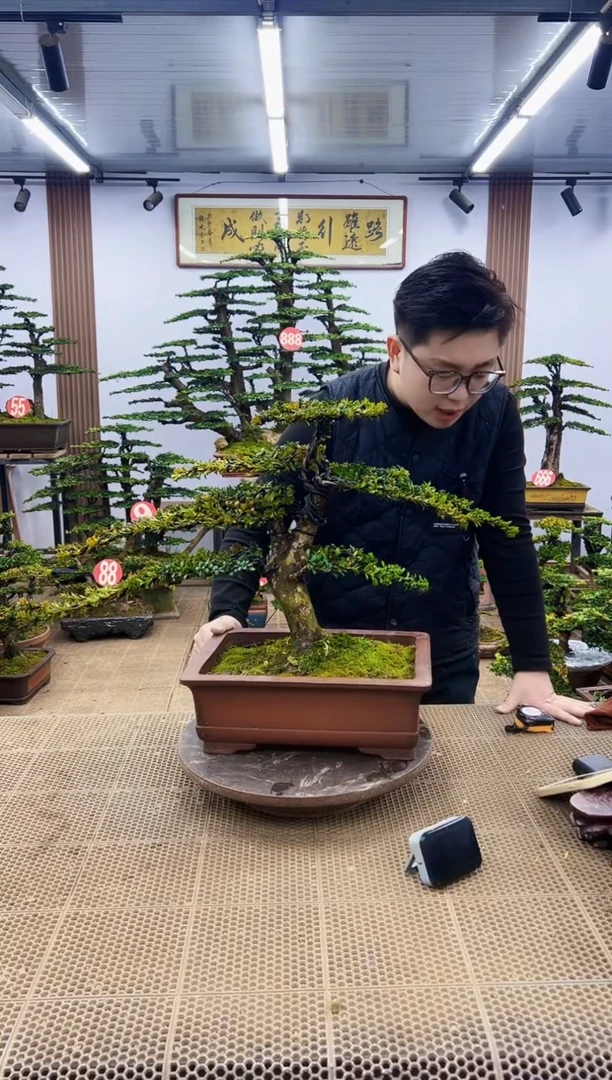 【闪购商品】一物一拍，所见即所得