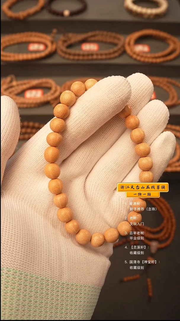 吊坠五线菩提无****凡q手串