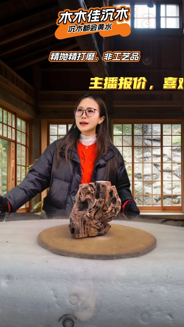 ?****? 木木佳沉木鱼缸造景-884