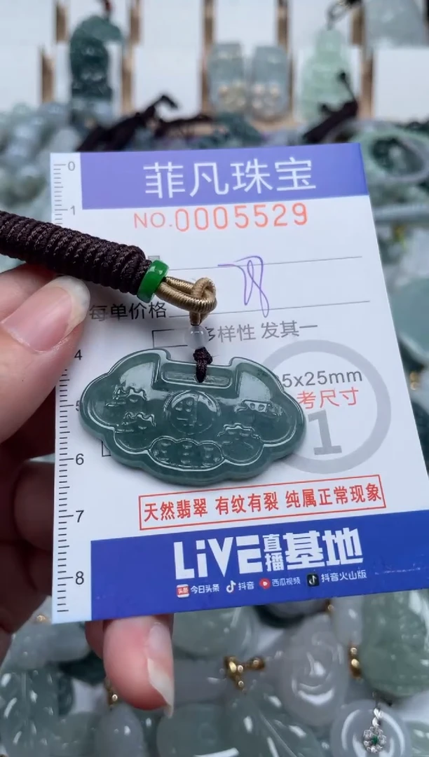 翡翠未镶嵌颈饰00..5529