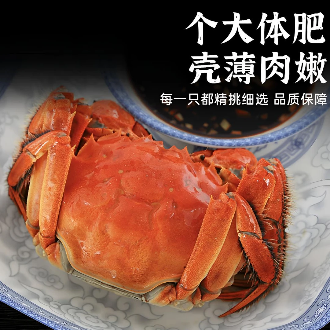 【活蟹】盘锦河蟹海鲜全母1.5-1.3两/只2/3斤装稻田蟹全母蟹肥蟹