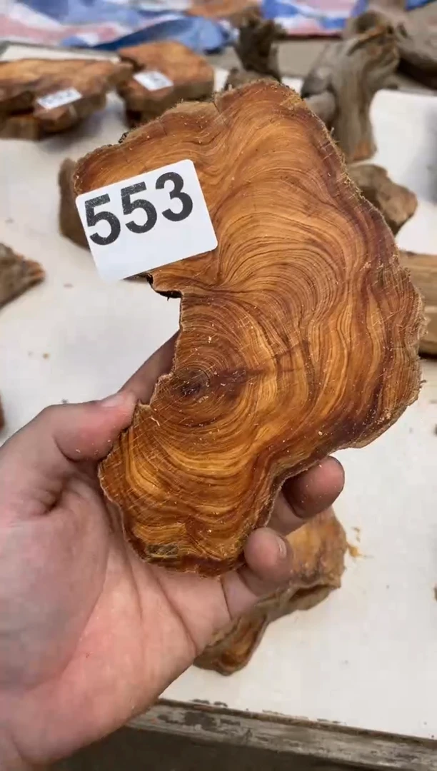 柏木（崖柏）太行陈化崖柏切片一块（津诚林）553