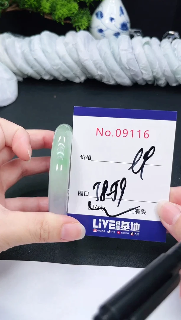 未镶嵌手镯翡翠9116