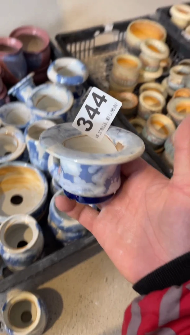 瓷片344小芳直播编号