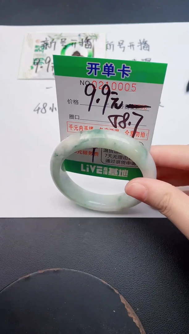 未镶嵌手镯翡翠05