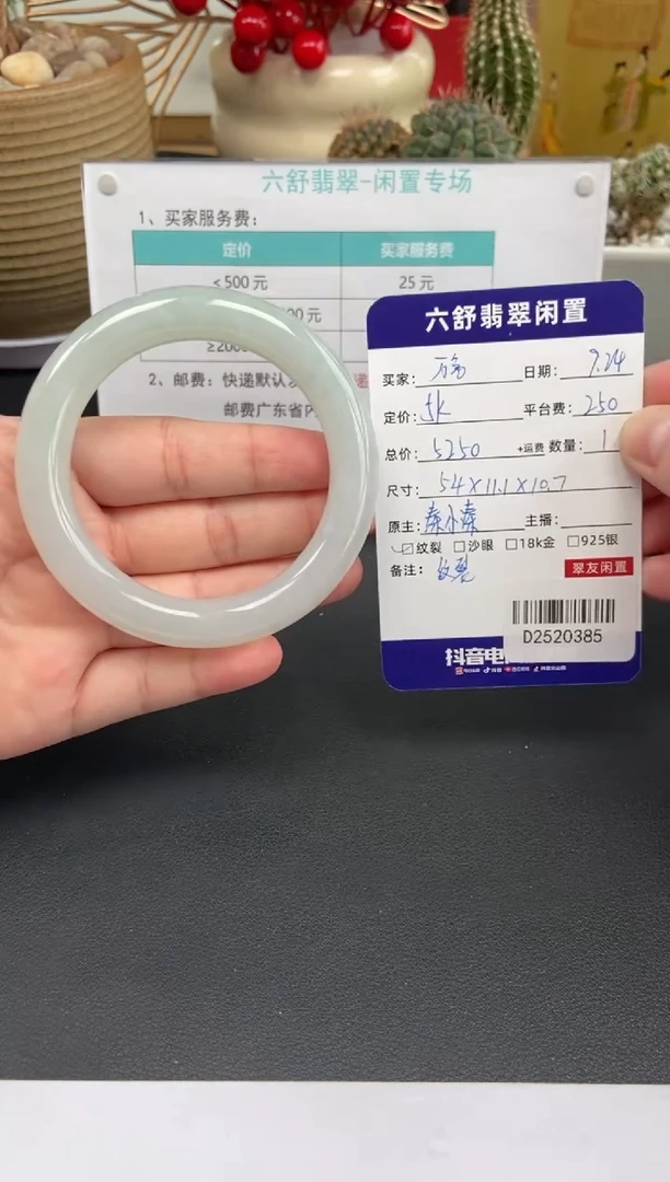 未镶嵌手镯翡翠万***fD2520385