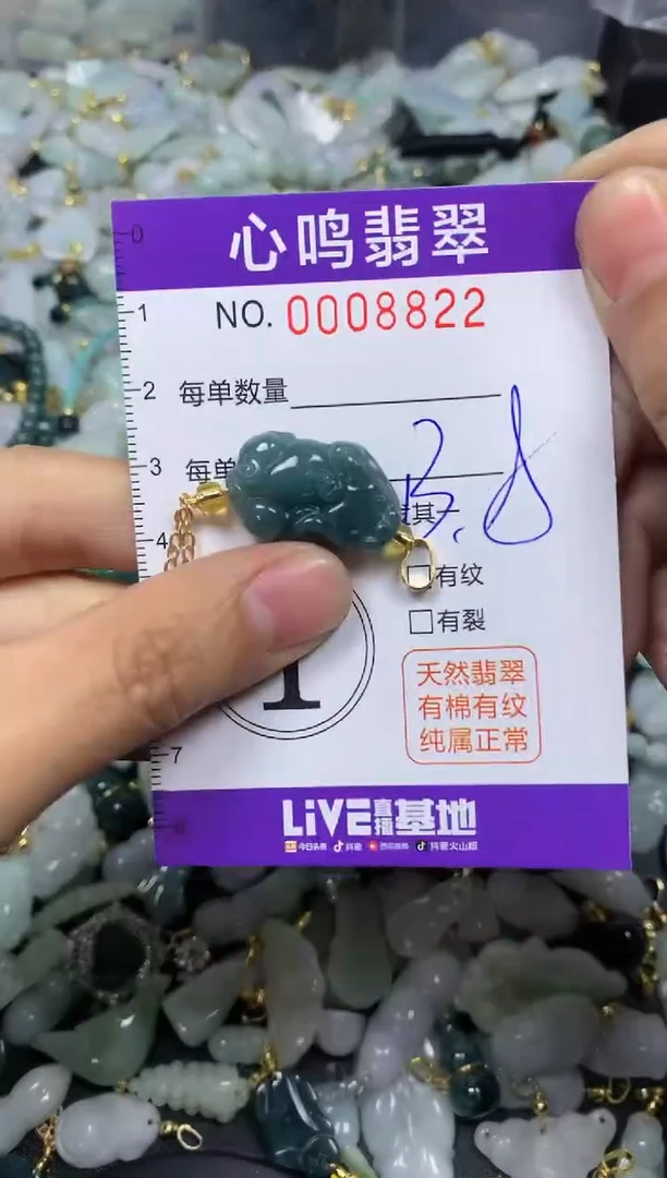 【闪购商品】翡翠颈饰未镶嵌闪购008822