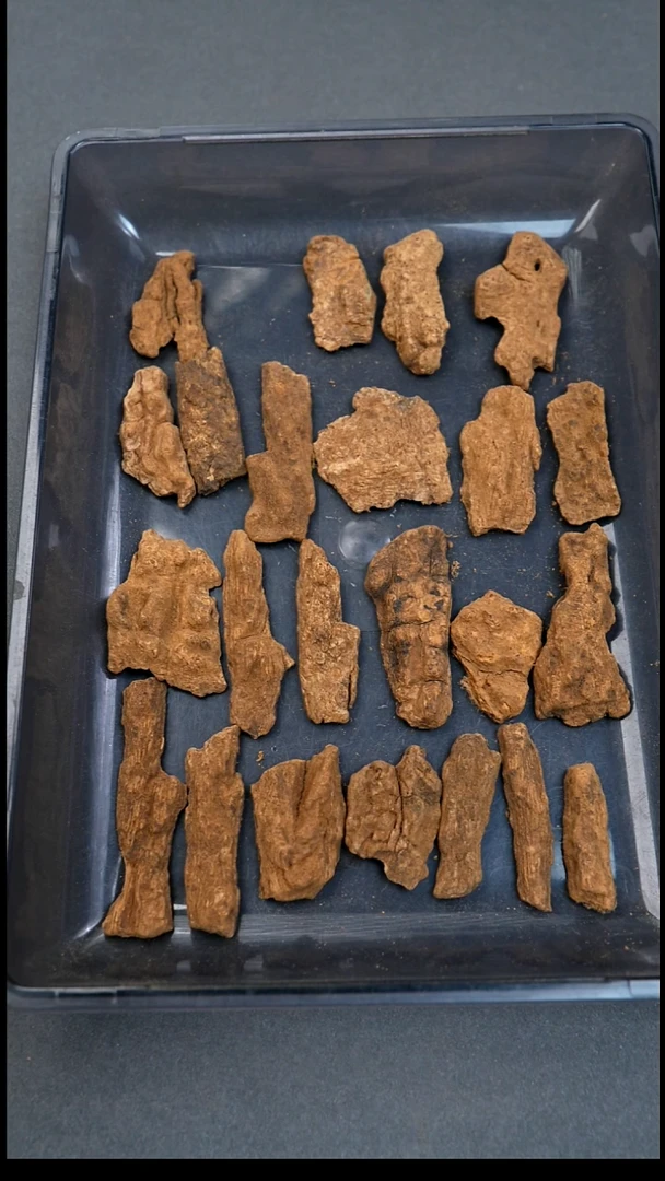 沉香沉香碎屑斯里兰卡红土1g满肉