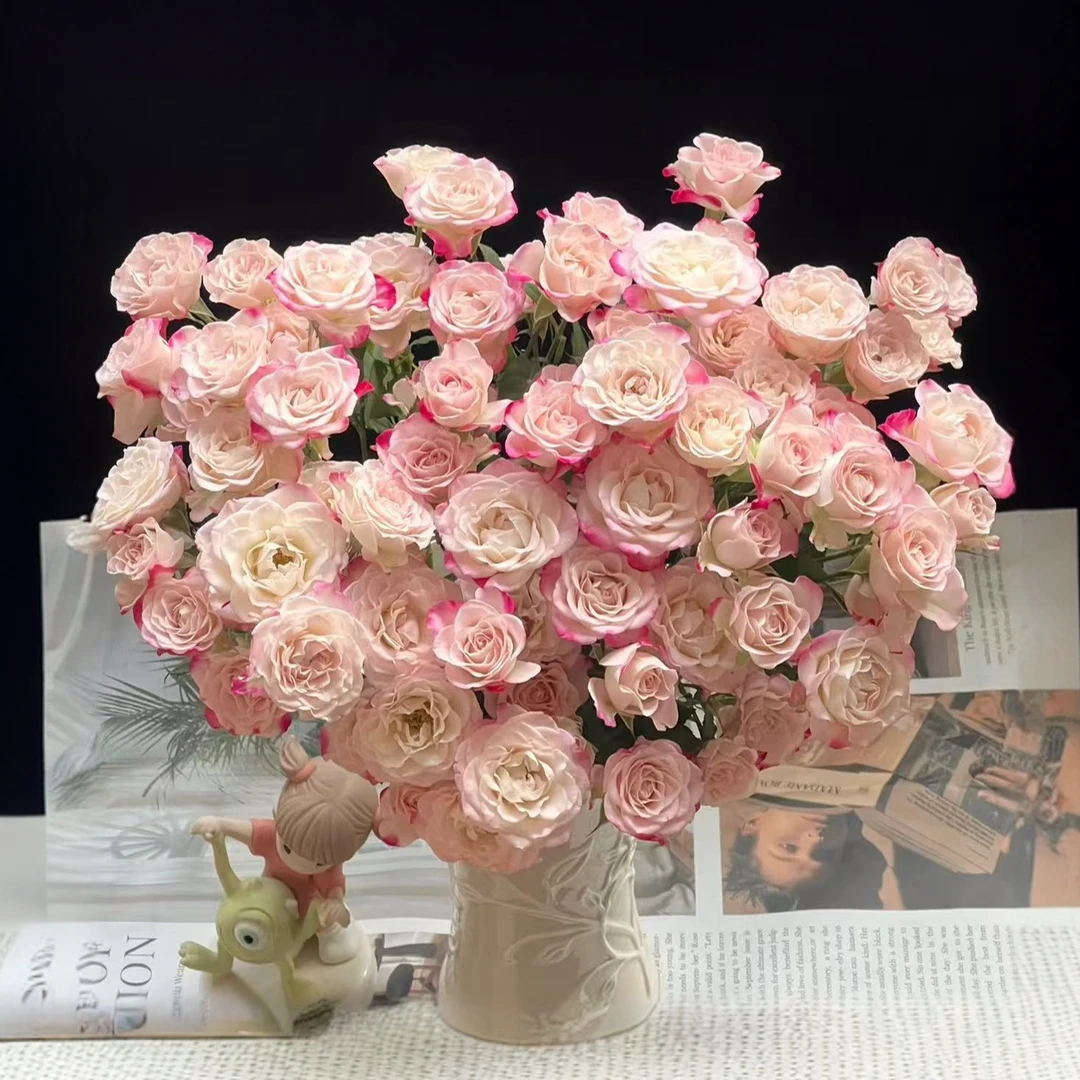 【云舍鲜花】【折射】多头玫瑰到手10支装多头玫瑰60CM或以上直播间