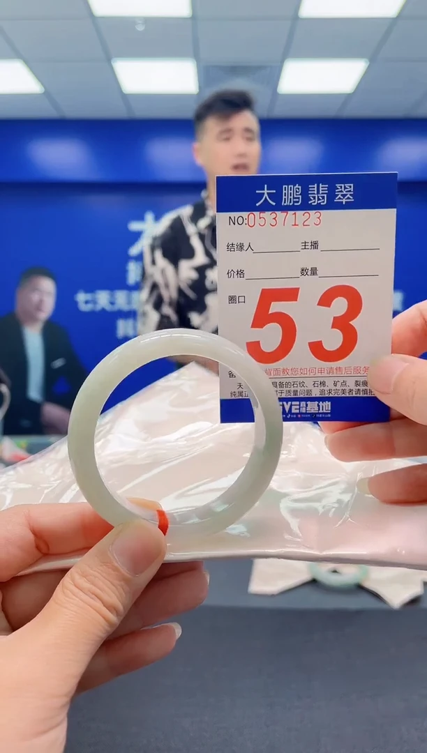 未镶嵌手镯翡翠AAAAAAAAA
