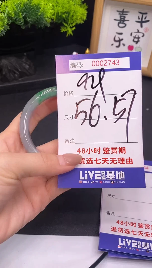 未镶嵌手镯翡翠0002743