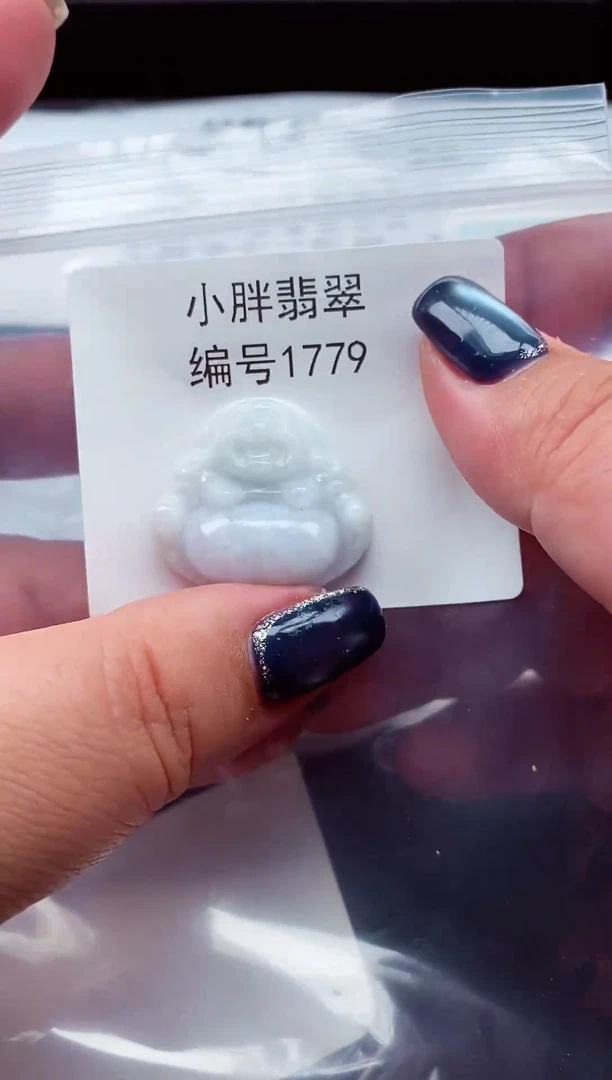 颈饰未镶嵌翡翠缅甸天然A货翡翠1779