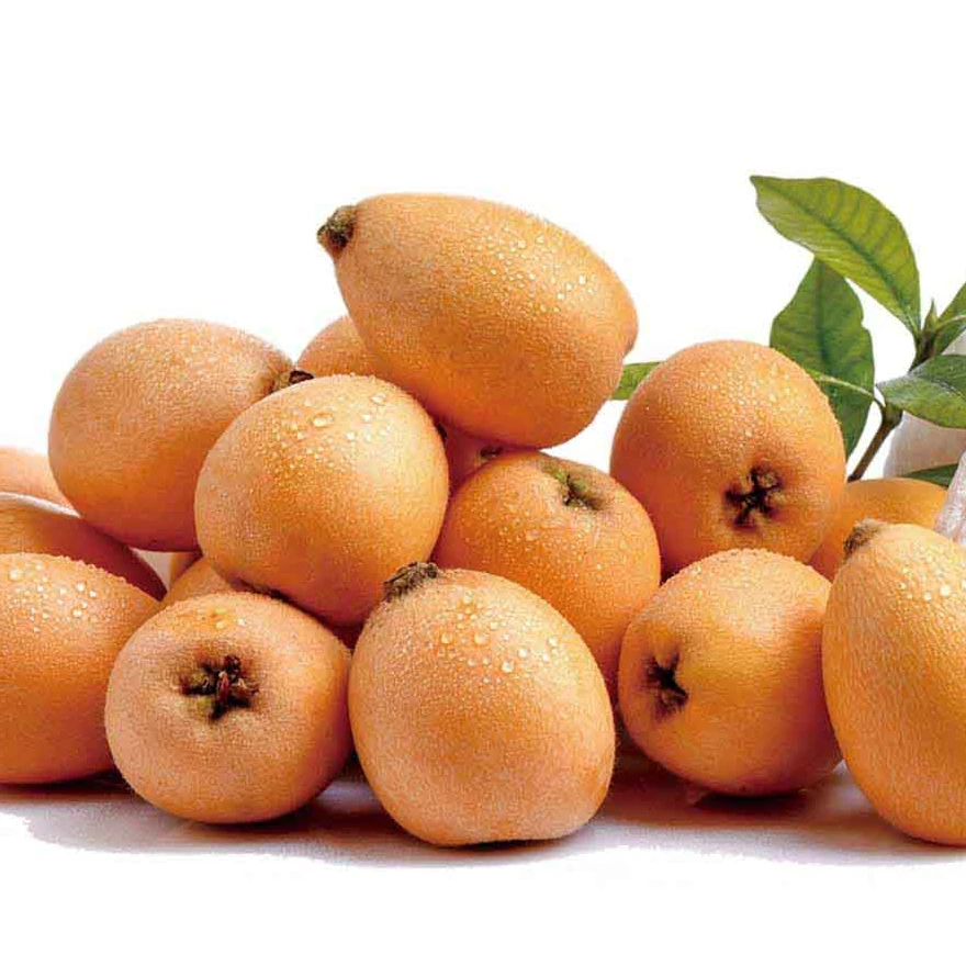 攀枝花阳光米易【五星枇杷】净果3斤/5斤顺丰送货到家