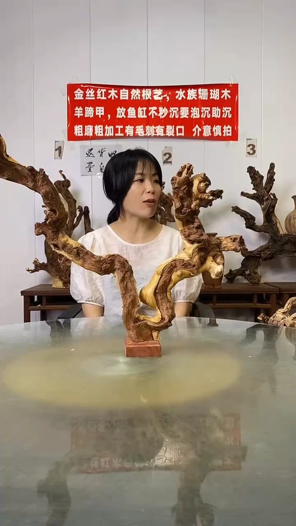 香榧木名****）金丝红木   羊蹄甲