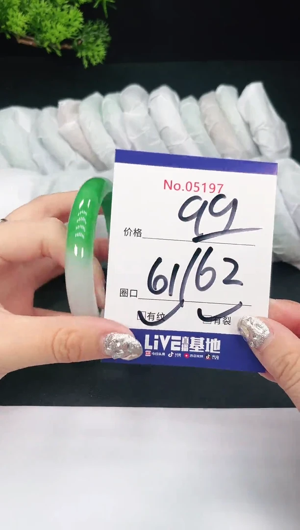 未镶嵌手镯翡翠05197