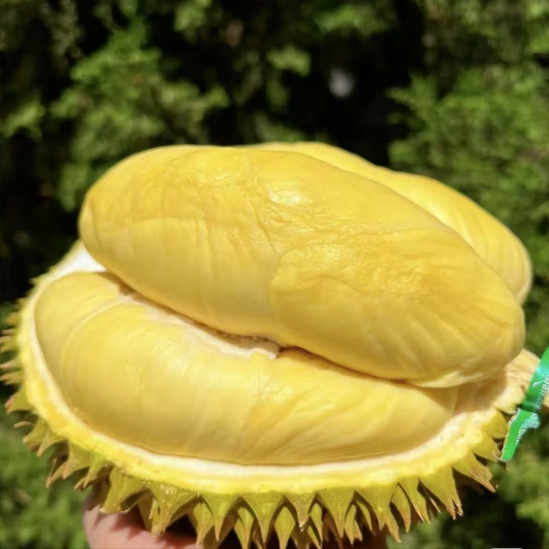 泰国树熟金枕榴莲A果（新鲜直达包熟包售后）核小2-3kg/个（一果一拍）金枕泰国东部