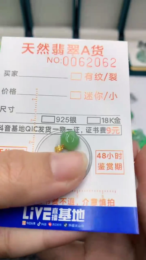 【闪购商品】翡翠颈饰18K金镶嵌            8