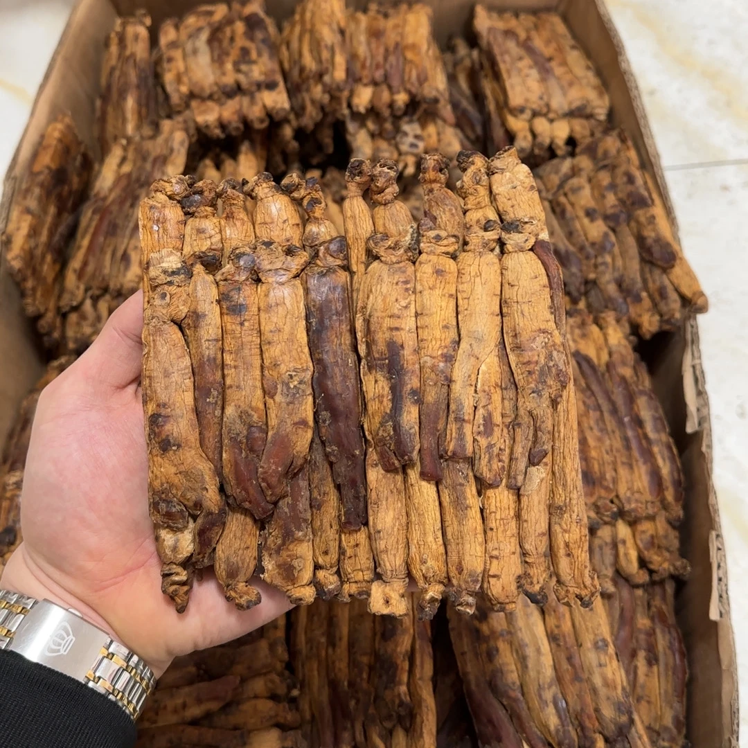 特价款韩种高丽参砖清库存高品质