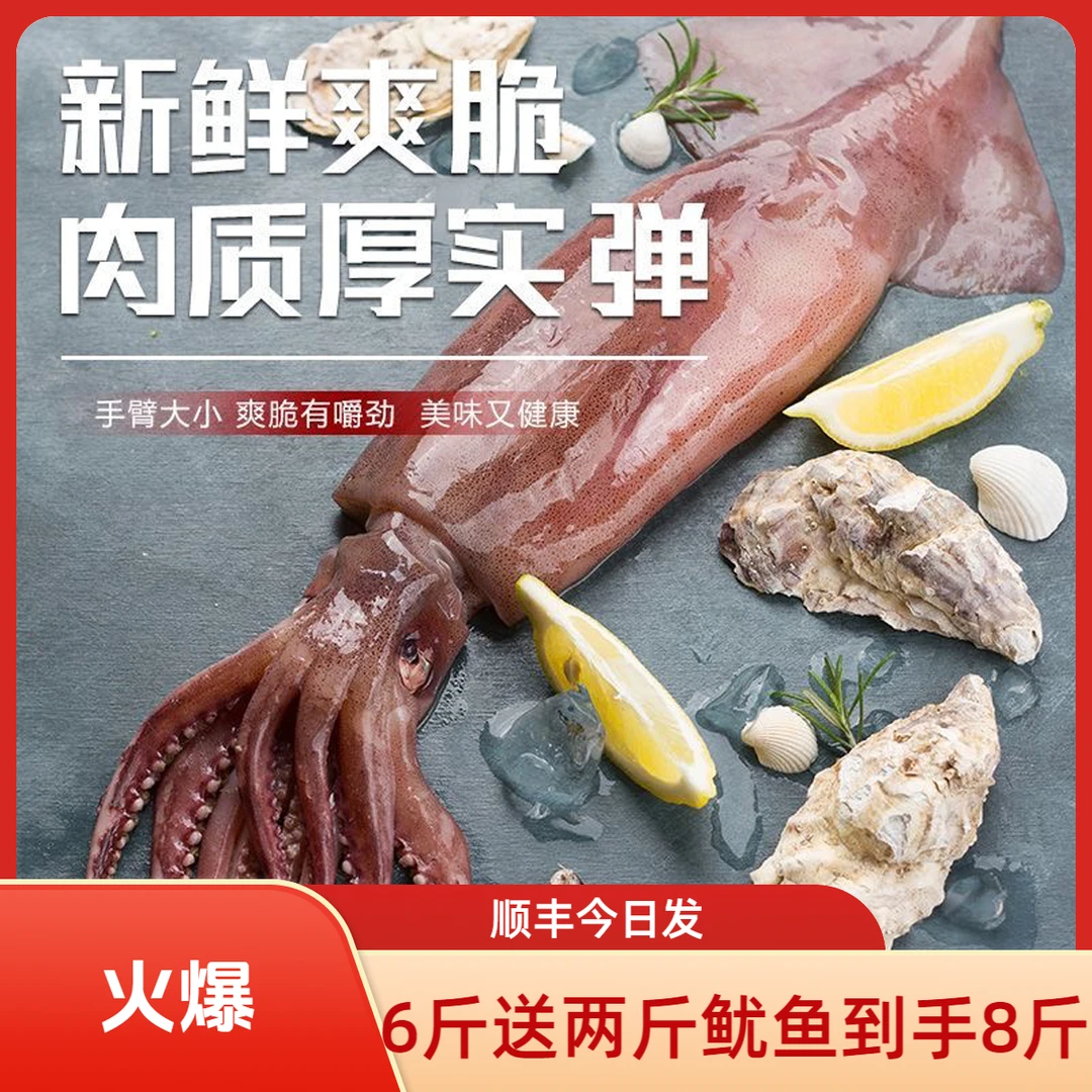 【[拍6斤送2斤】到手8斤 野生深海鱿鱼 G 顺丰发货 7月包邮到家