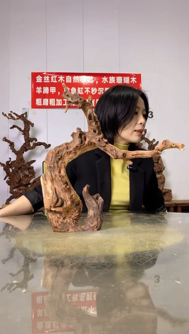 【闪购商品】木23金丝红木 羊蹄甲