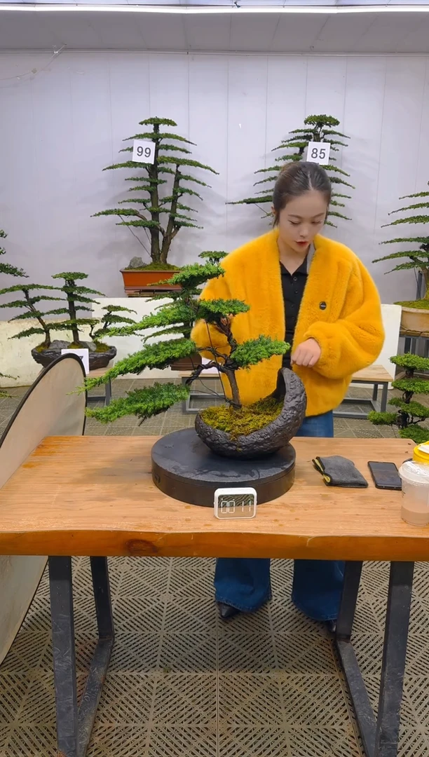 无花朵一物一拍一物一拍