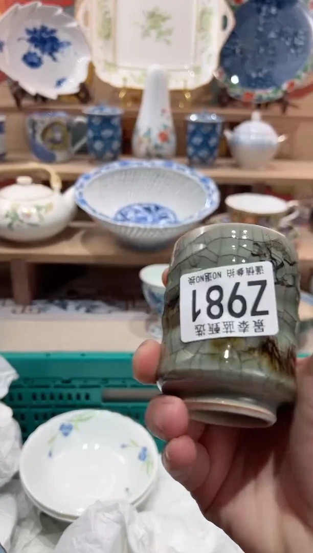 【闪购商品】瓷片当天凑满25米包邮Z981