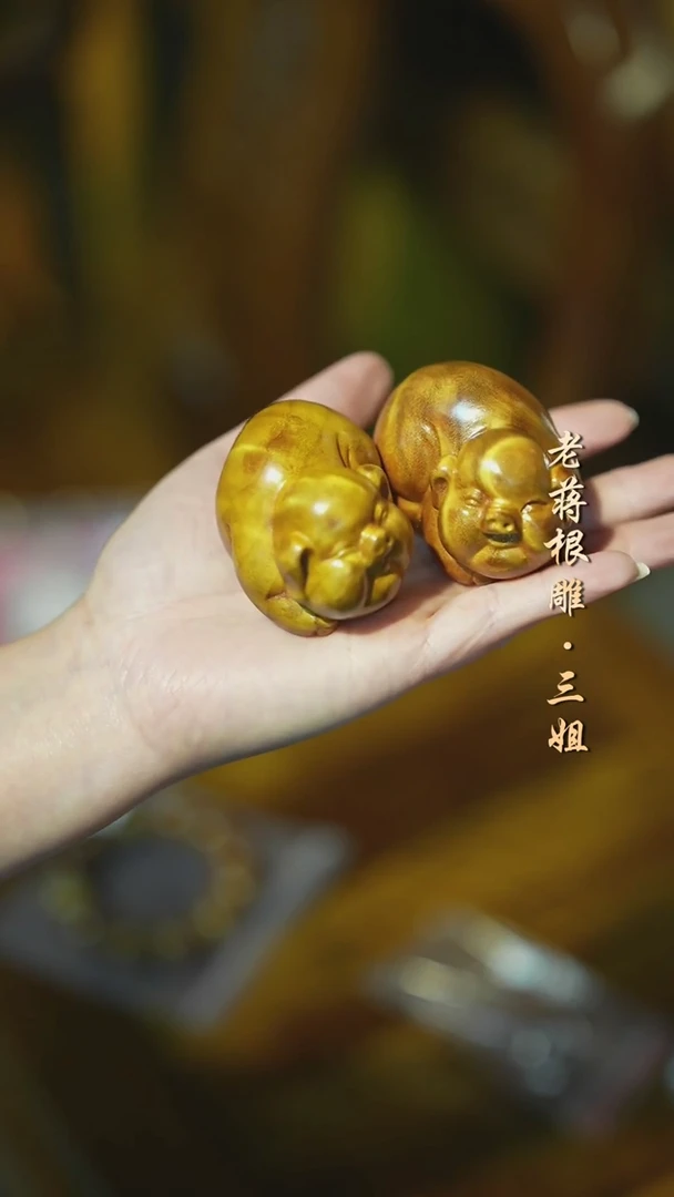 金丝楠金丝楠福猪两个