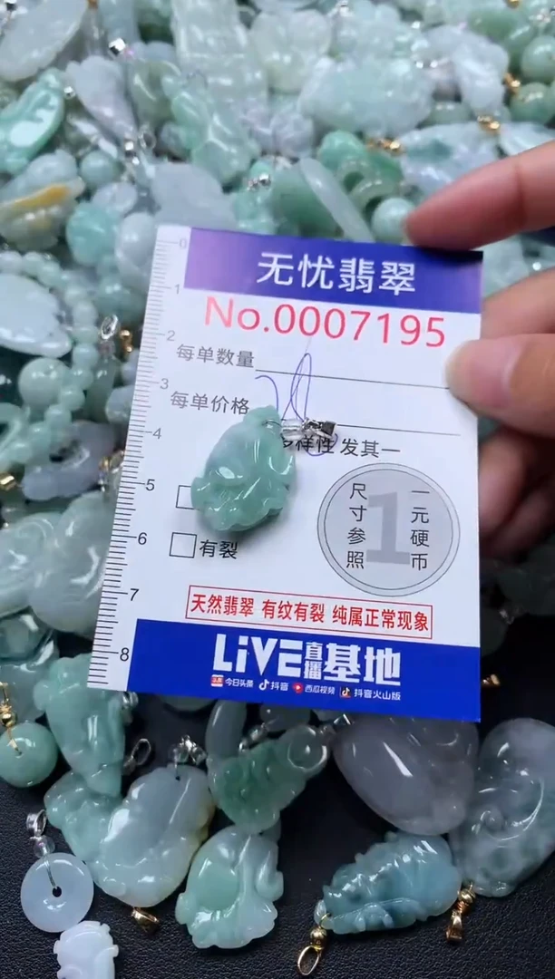 颈饰未镶嵌翡翠7195