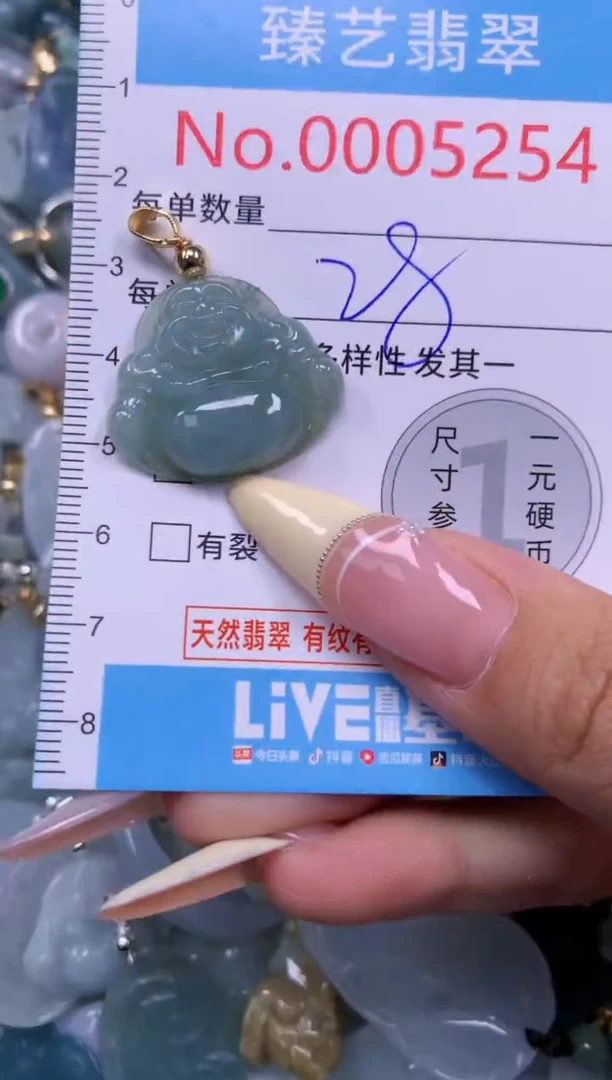 翡翠未镶嵌颈饰含绳0005254