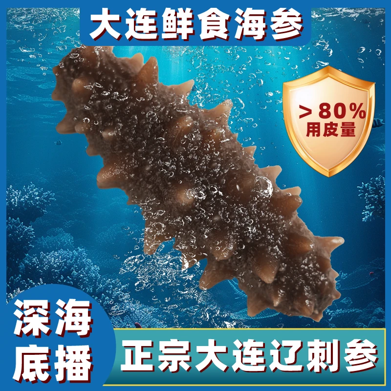 大连底播鲜食海参1斤9-12头拍三斤发4斤共4斤装