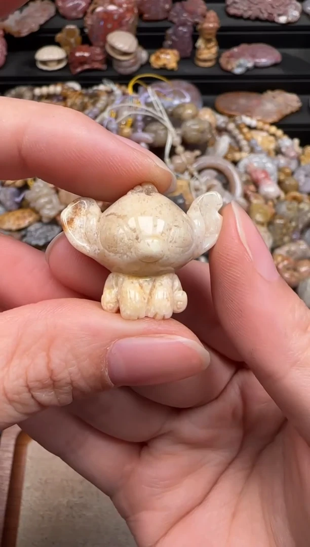 硅化珊瑚（珊瑚玉）未镶嵌颈饰323
