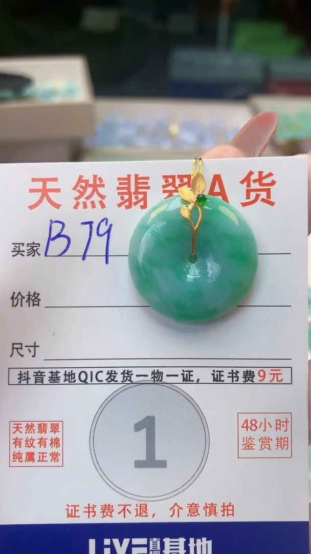 颈饰未镶嵌翡翠天然A货翡翠挂件