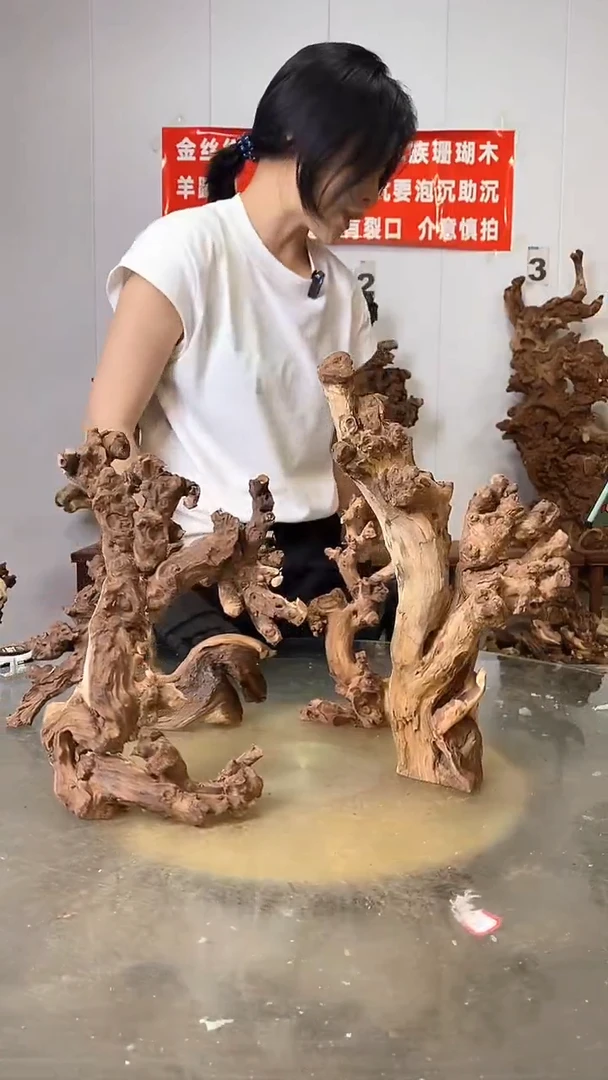 香榧木金丝红木 羊蹄甲