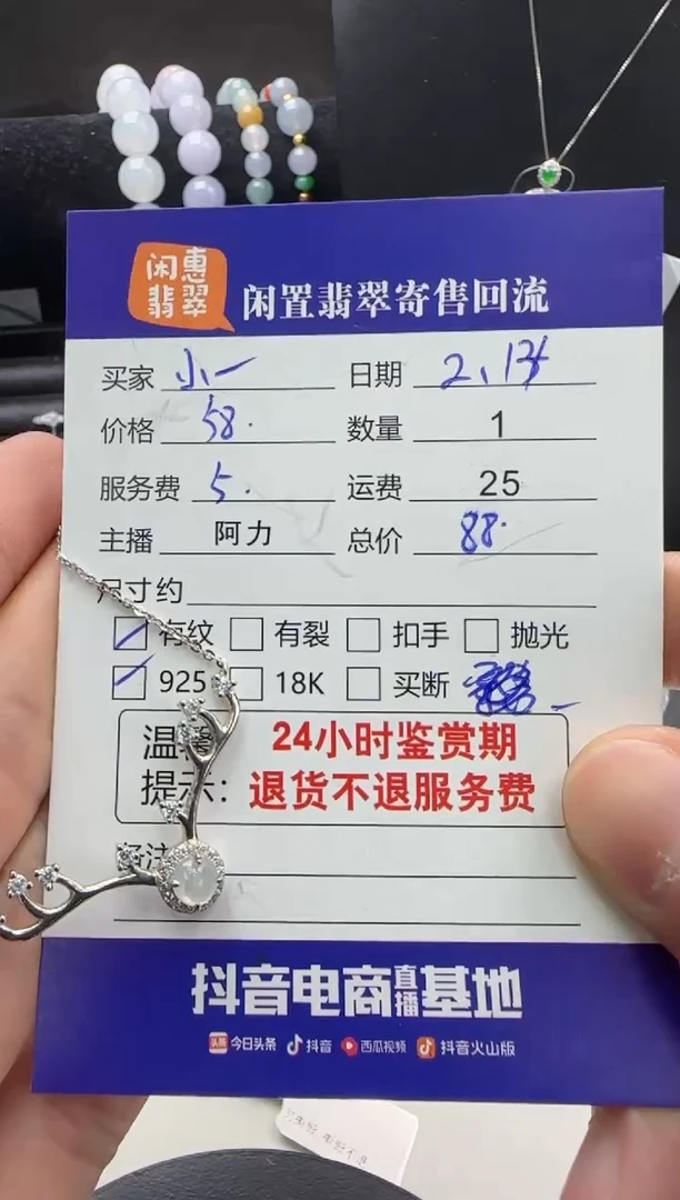 【闪购商品】翡翠项链银S925镶嵌翡翠项链