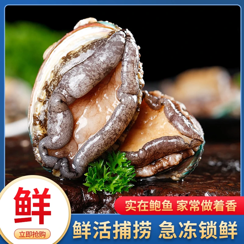 【晶姐专属】东山岛10-12头鲍鱼5-6cm左右速冻锁鲜海鲜深海冷链
