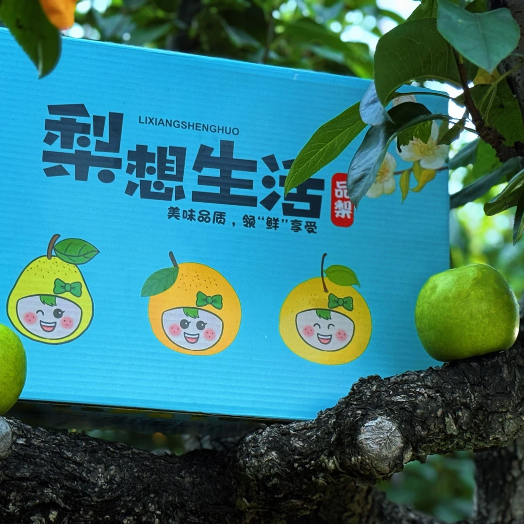 砀山正宗青皮翠玉梨12斤礼盒装  脆甜多汁，坏果包赔