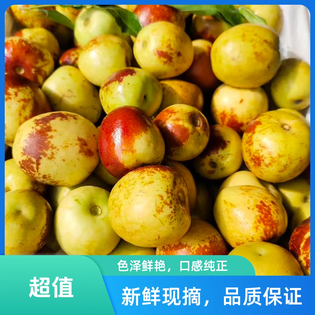 【坏果包赔】大荔冬枣 皮薄 肉厚 核小辽宁省