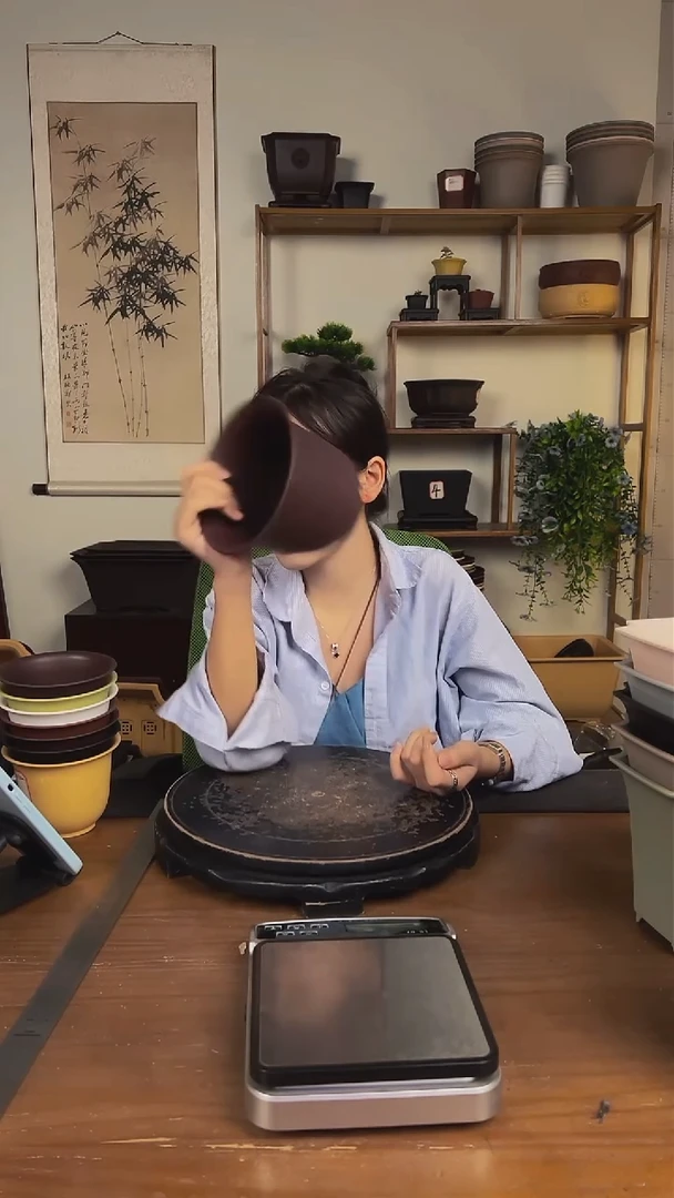 10只15口径金钟紫檀色