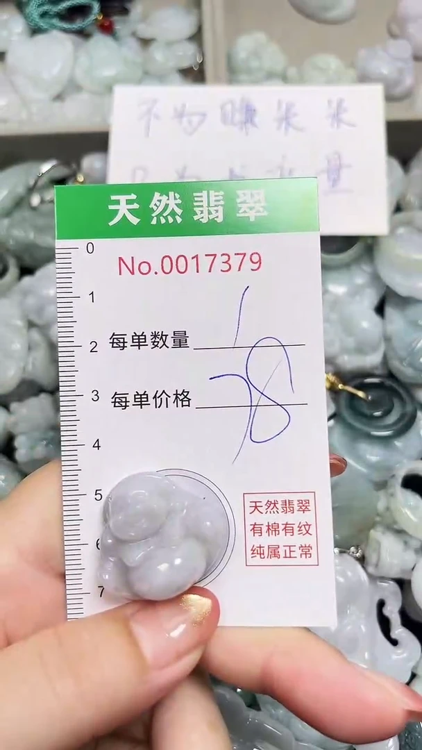 翡翠未镶嵌吊坠(不含链)7379