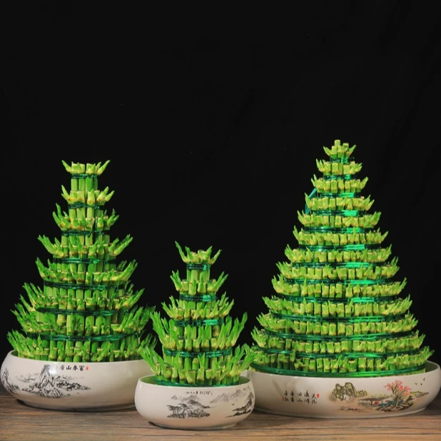 节节高富贵竹水培室内盆栽花卉绿植植物竹塔办公室净化空气四季